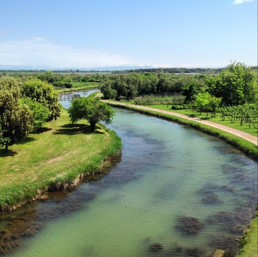 Cours d’eau bordé d’arbres et d’un chemin.